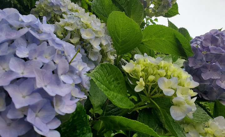 明日5日朝　変更