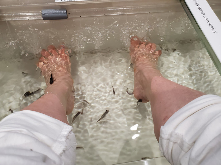 ドクターフィッシュ