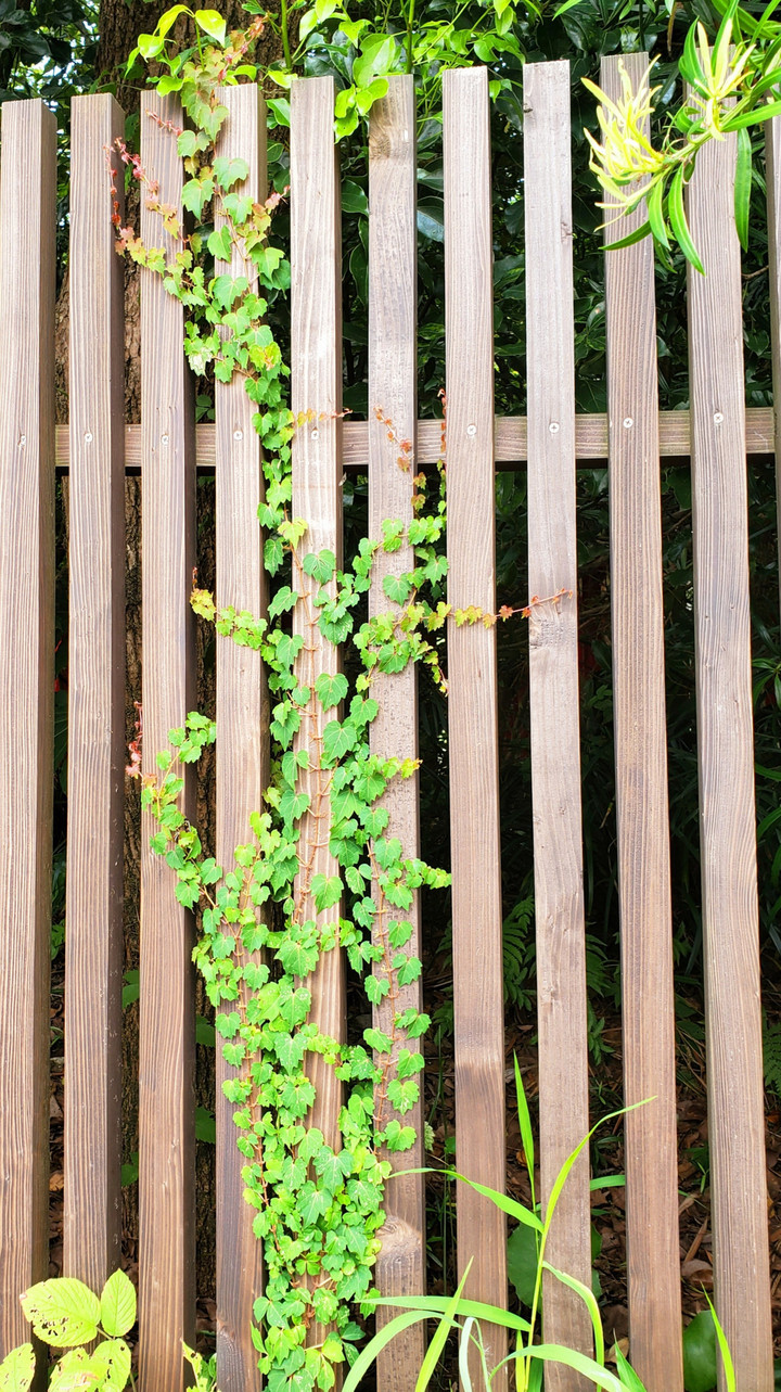 メールについてのお願い