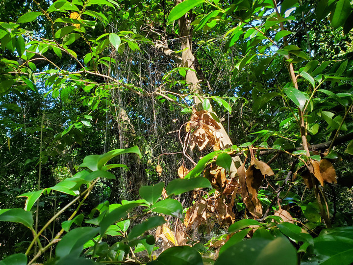 自然が教えてくれること