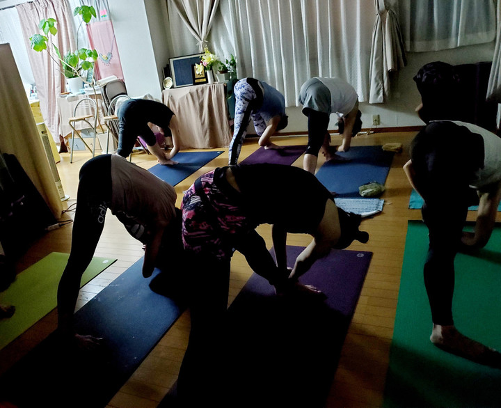 今週のバンブー