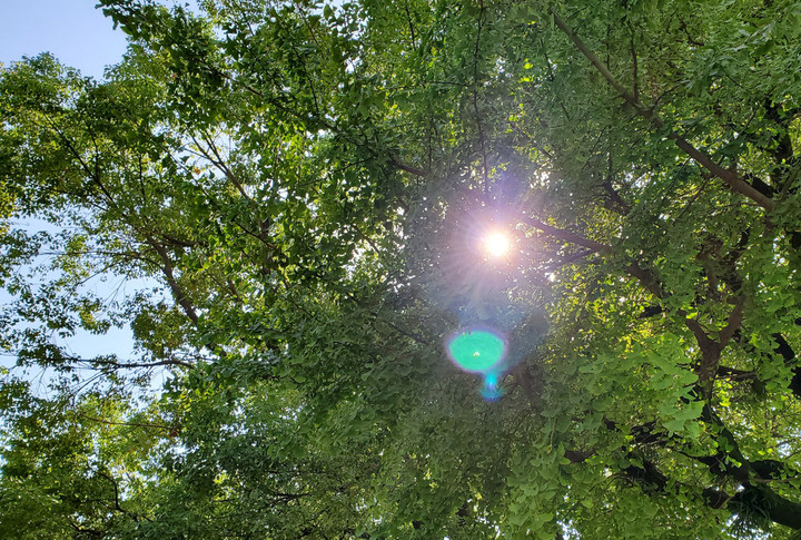 単純がゆえの幸せ