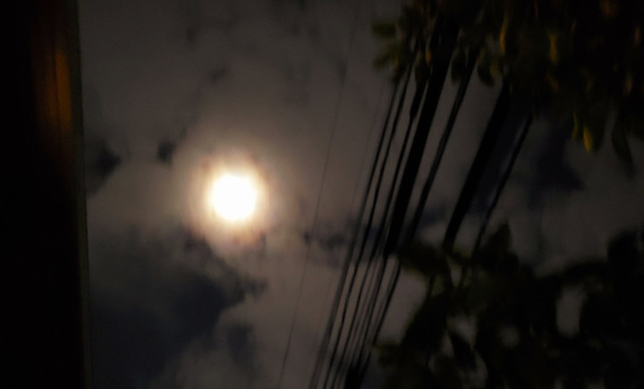 ブルームーンイヴ