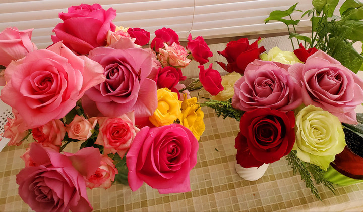 二月の🈵クラス