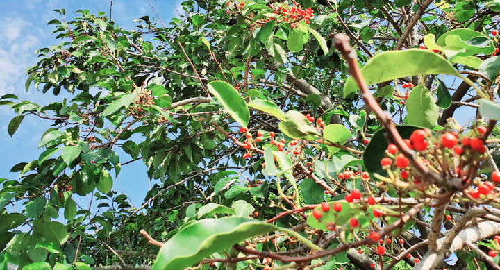 身体を観てきて行き着いたこと