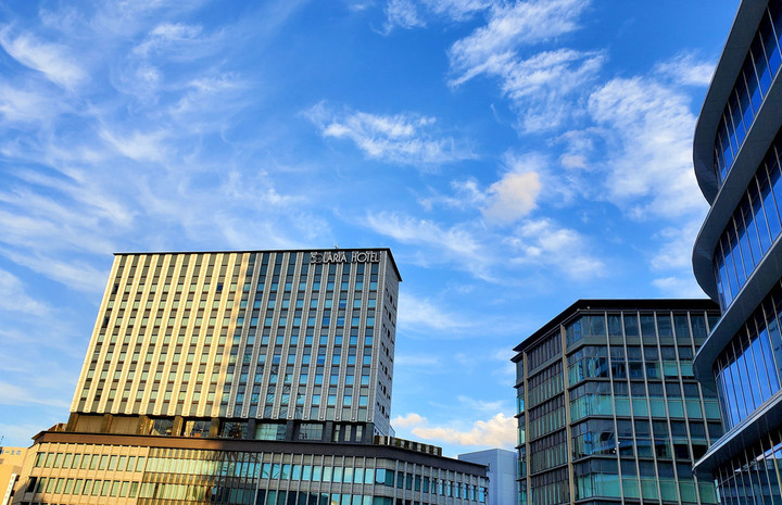 春のようなSunday