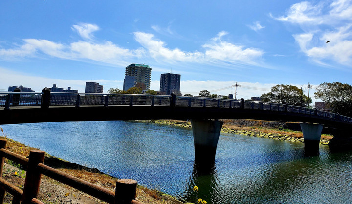 天皇誕生日㊗️バンブー