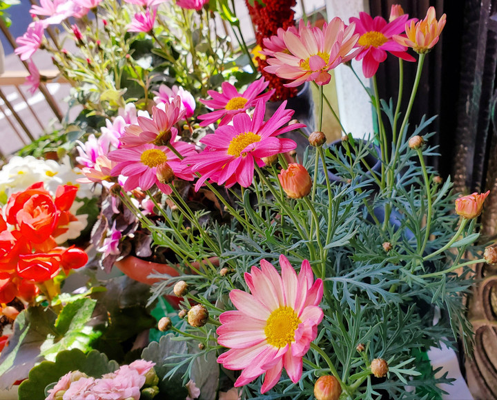 手前味噌ですが、、、