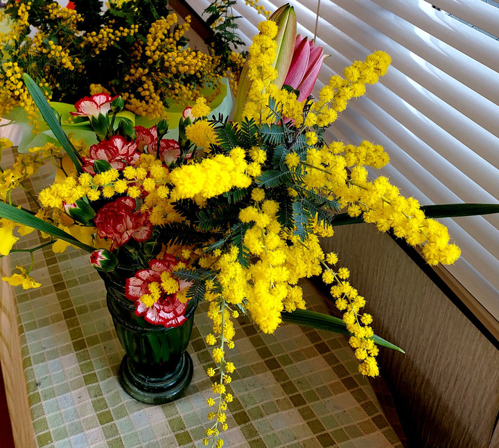 リンク続くバンブー