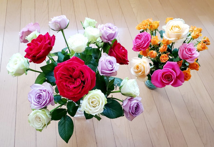 花が陽射しに包まれる季節