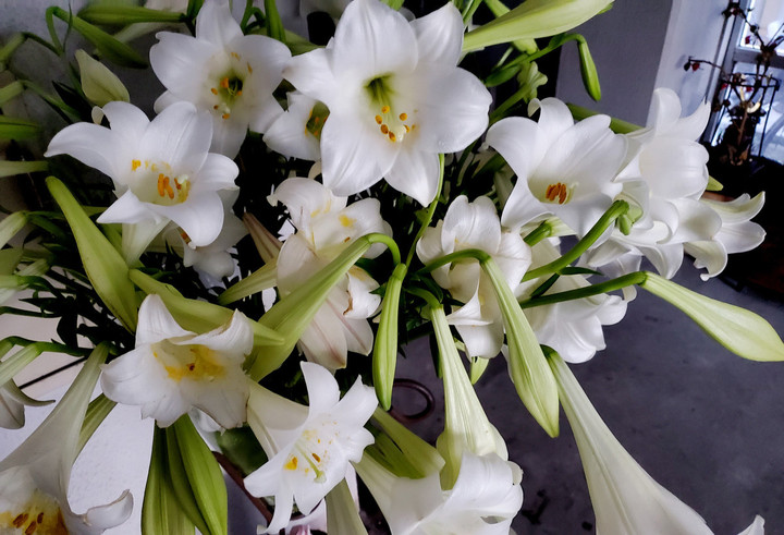 ありがたき香り