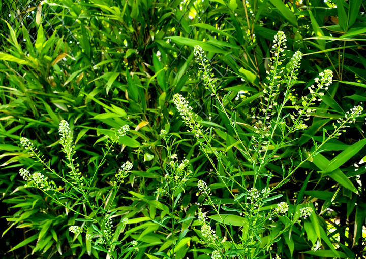 インスピレーション