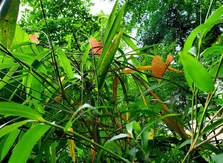 昨日のささやかな喜び