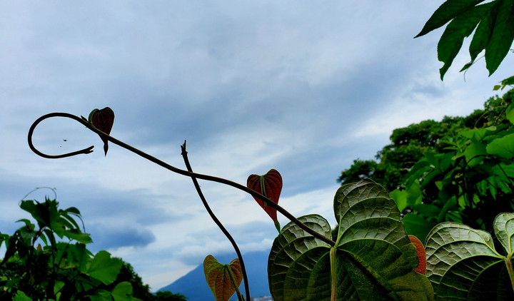 毎度自然との対話