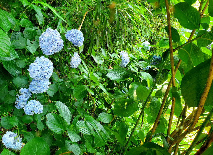 ムーンディギフト