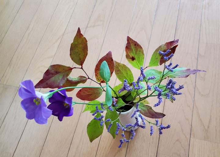 明日の朝ヨガ時間変更