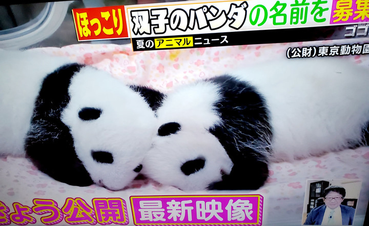 夏休みだけど、、、