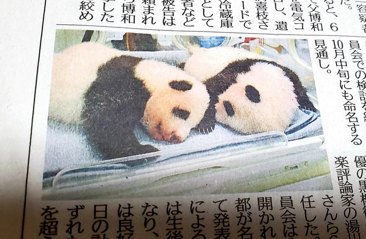 バンダとパンダ