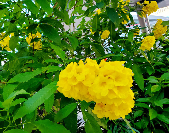 心弾むシチュエーション