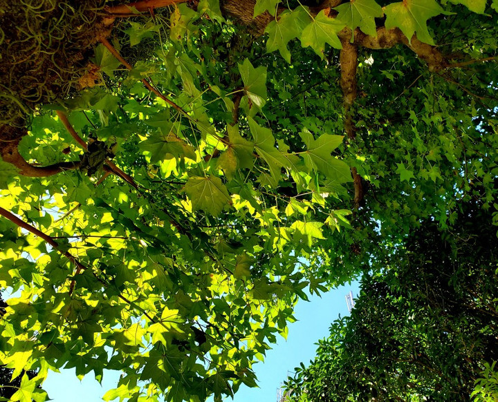 毎度、感謝のムーンディ