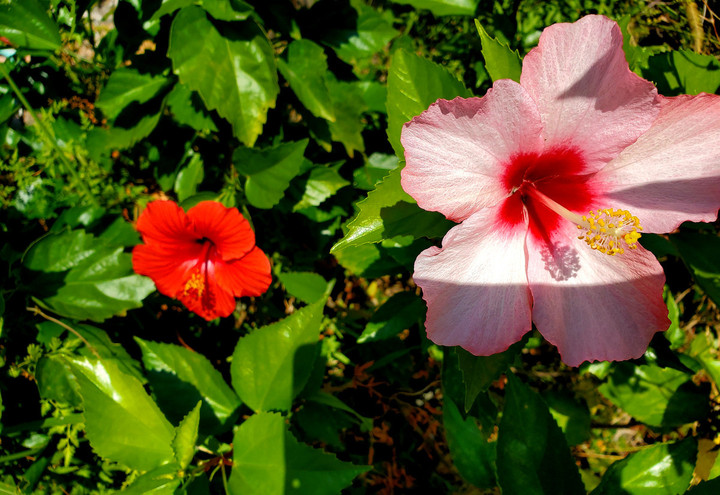 昨年とは、違う秋