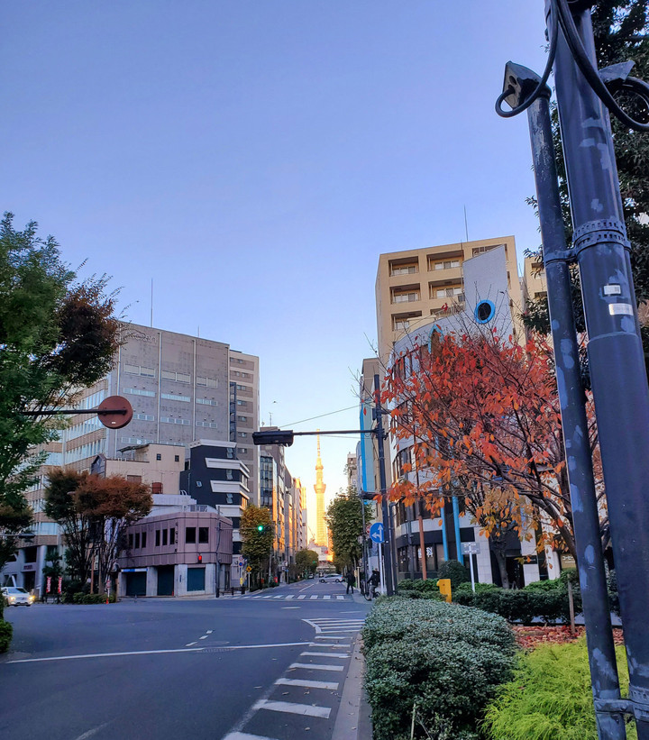 東京ヨガのギフト