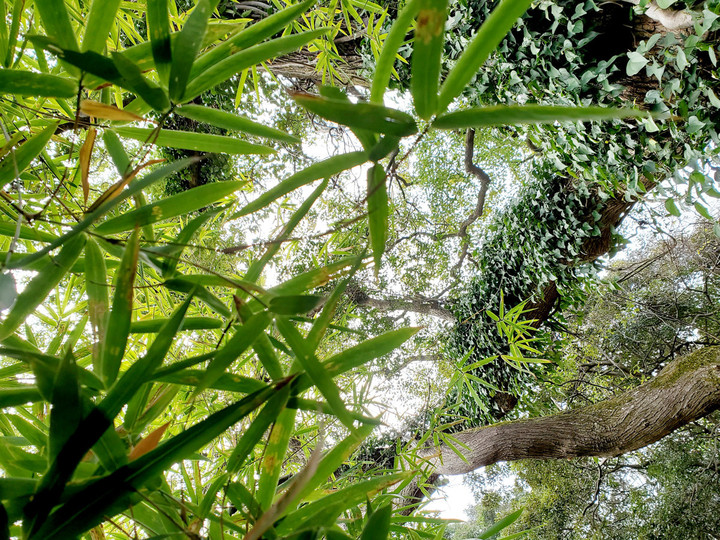 昨日、、、(／。＼)