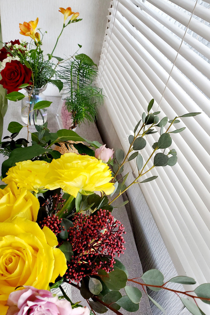 ついにきた！！！