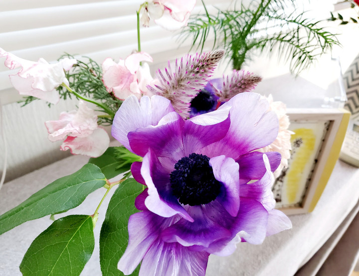 3月スケジュール🈵のお知らせ