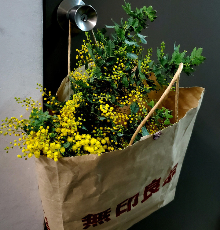 思いがけないギフト　