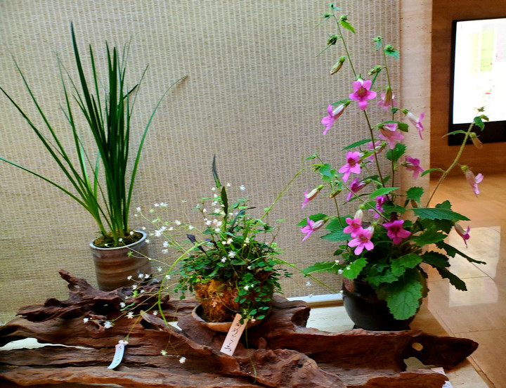 数年ぶりの、、、