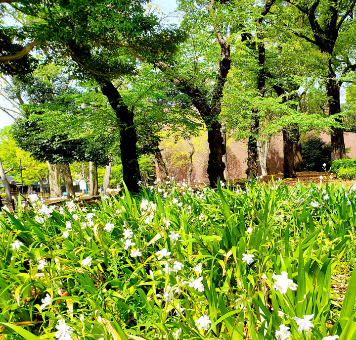 ココロ沸き上がりっぱなし
