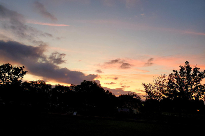 ありがたき日々