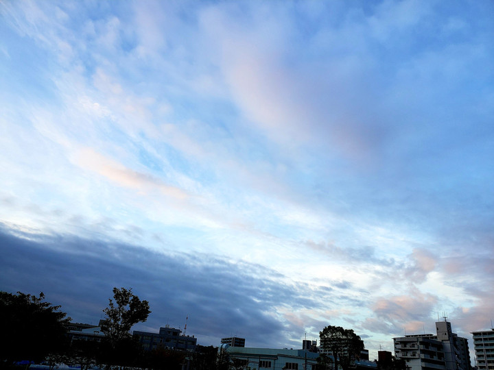 いま、この時期