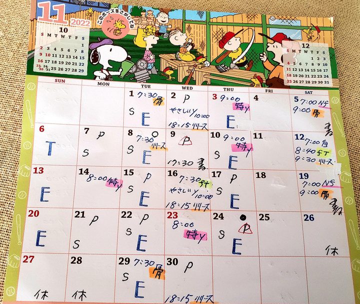 11月スケジュール