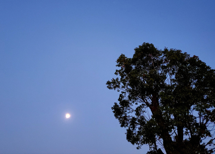 月食、天王星食までの、、、