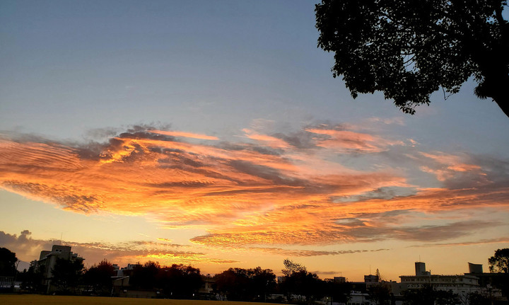 早朝の空は予報