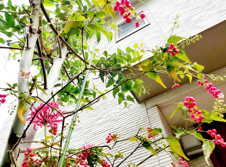 12月キャンセル待ち