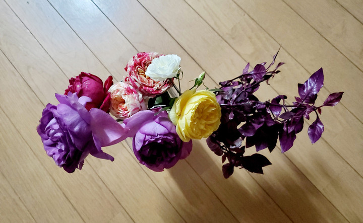 明日のエルグ時間