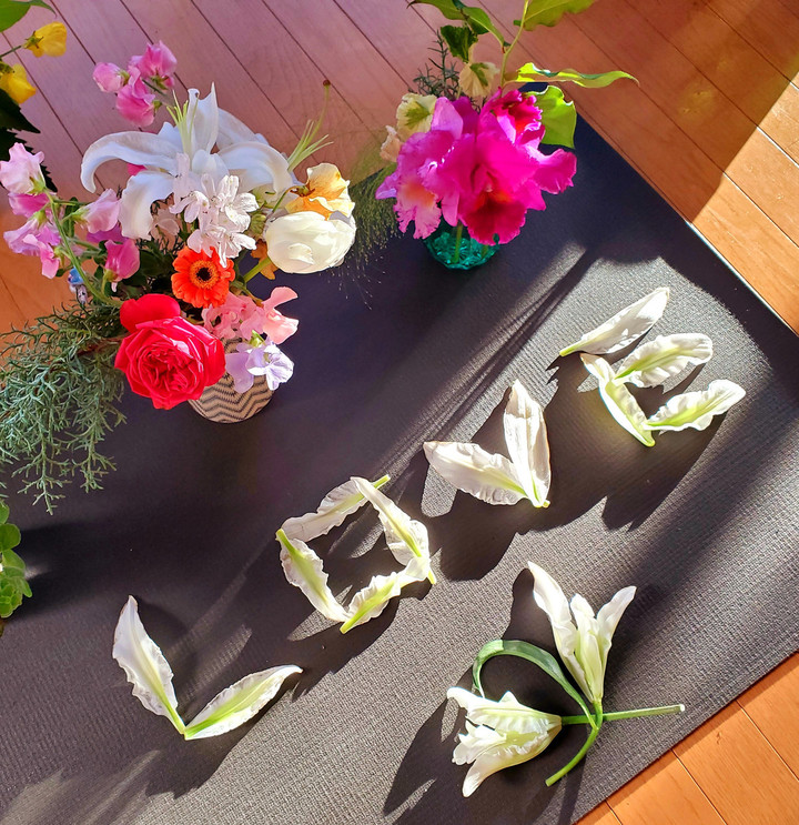 南国鹿児島？の冬