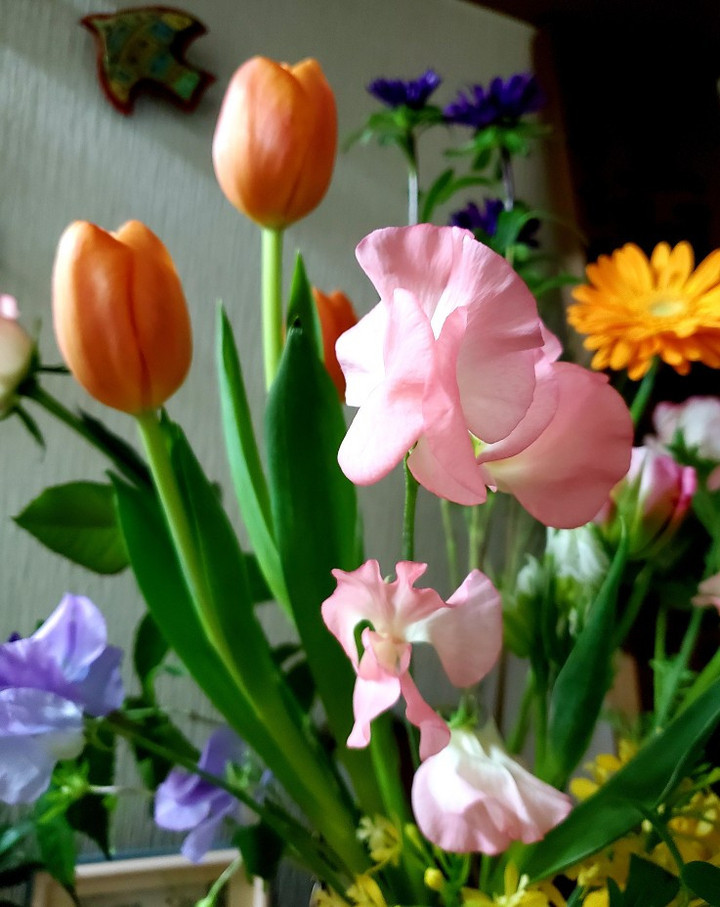 寒くても春が薫る花