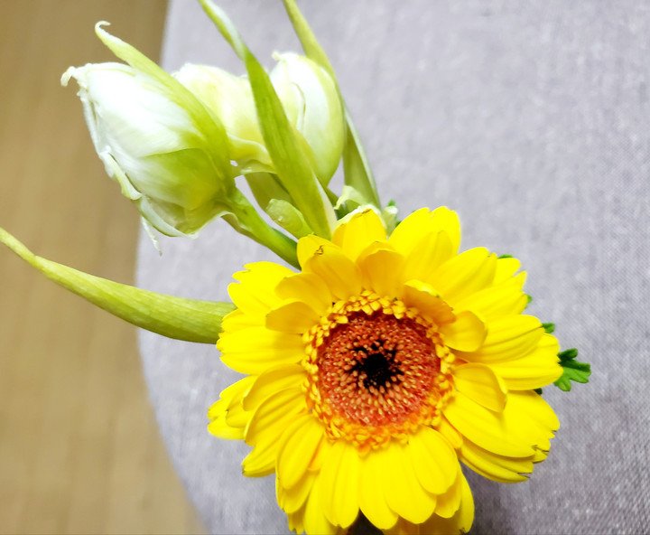 幸せを呼ぶイエロー