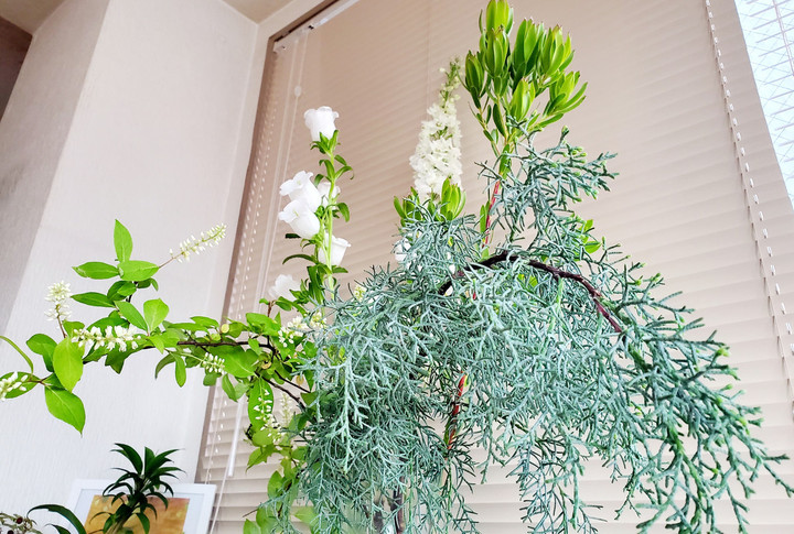 生きる力＝プラーナ