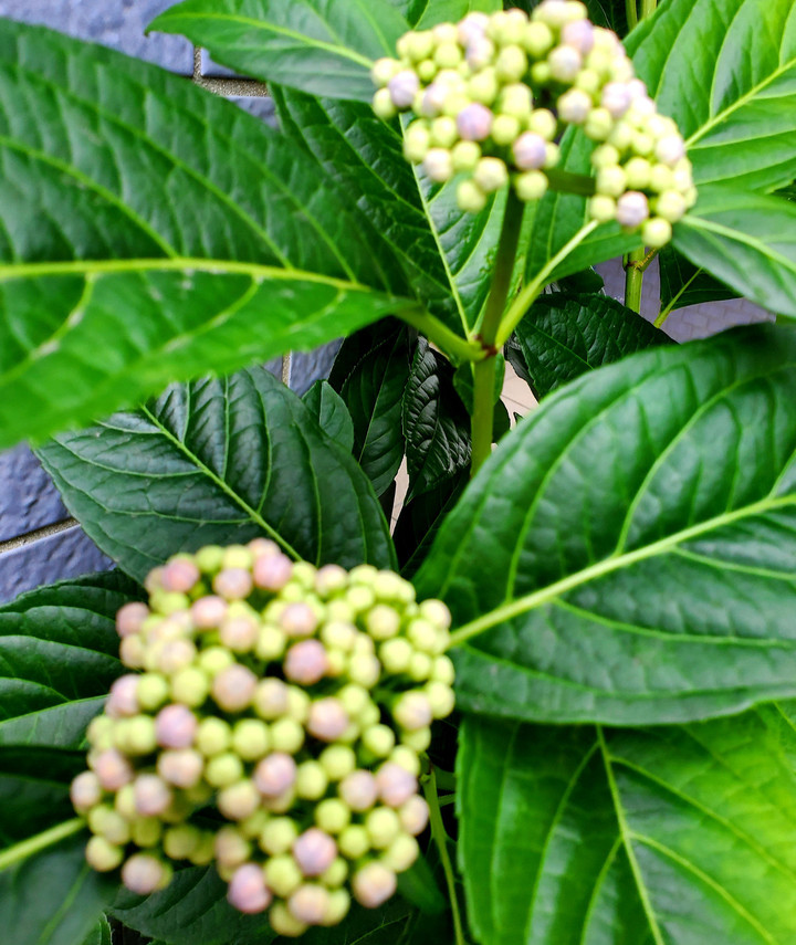 財なき者にもなし得る施し