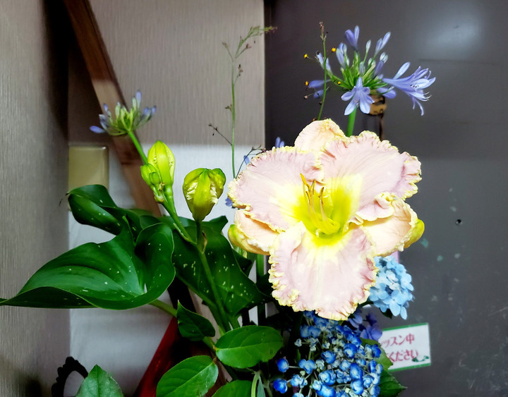 ブレる時、観察