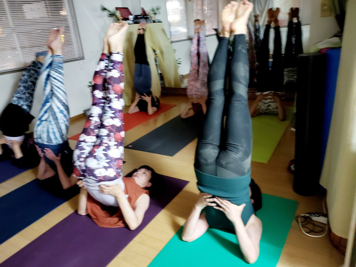 最近のバンブー