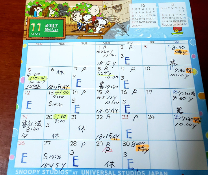 11月スケジュール