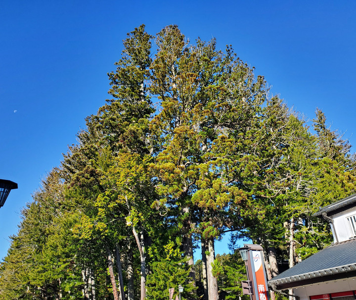 今年最後の祈り