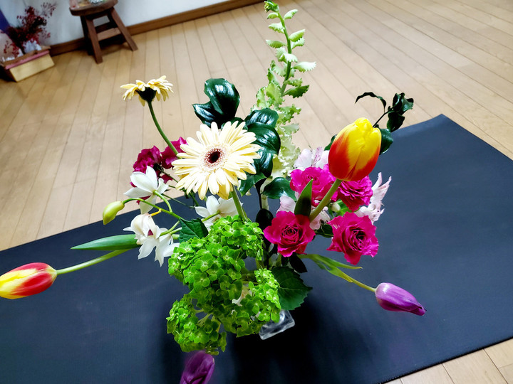 本日のエルグm(__)m