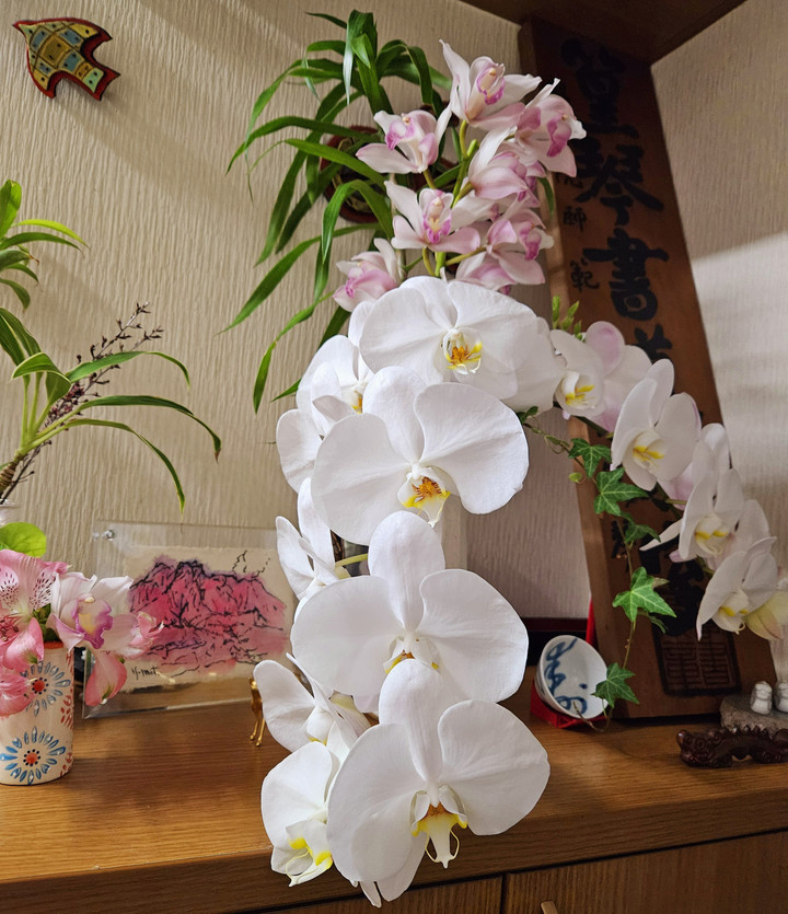 4月⭐2回目修業